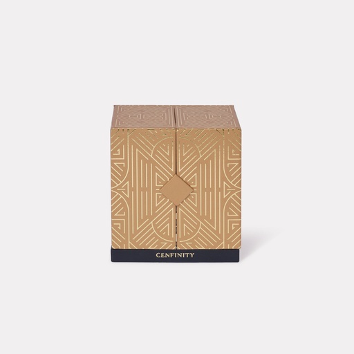 Central Cenfinity Mooncake Box 2024