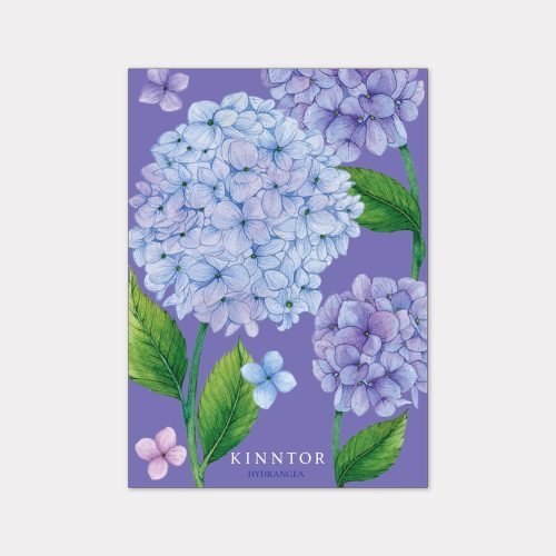Kinntor Floral Card Design 4