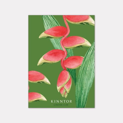 Kinntor Floral Card Design 7