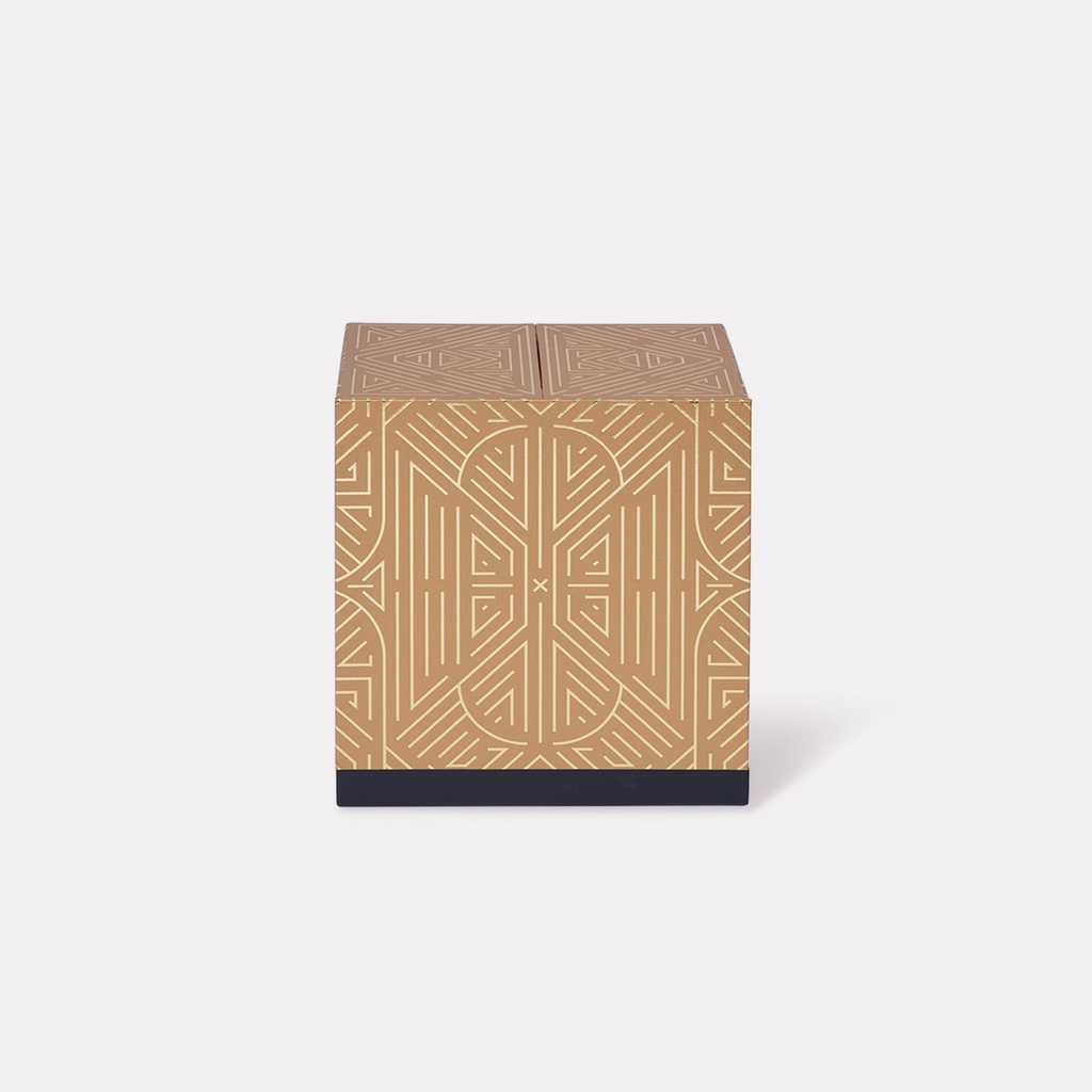 Central Cenfinity Mooncake Box 2024 2