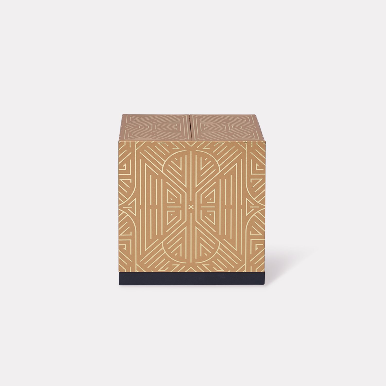 Central Cenfinity Mooncake Box 2024 2