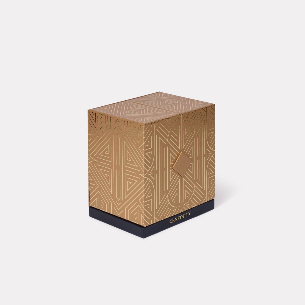 Central Cenfinity Mooncake Box 2024 3