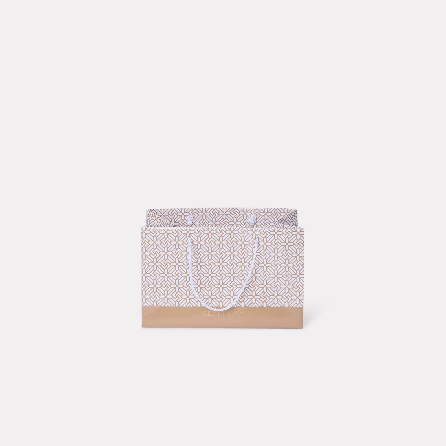Central Cenfinity Shopping Bag of Mooncake Box 2